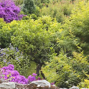 Casa Nobile Bed & Breakfast Tovo San Giacomo